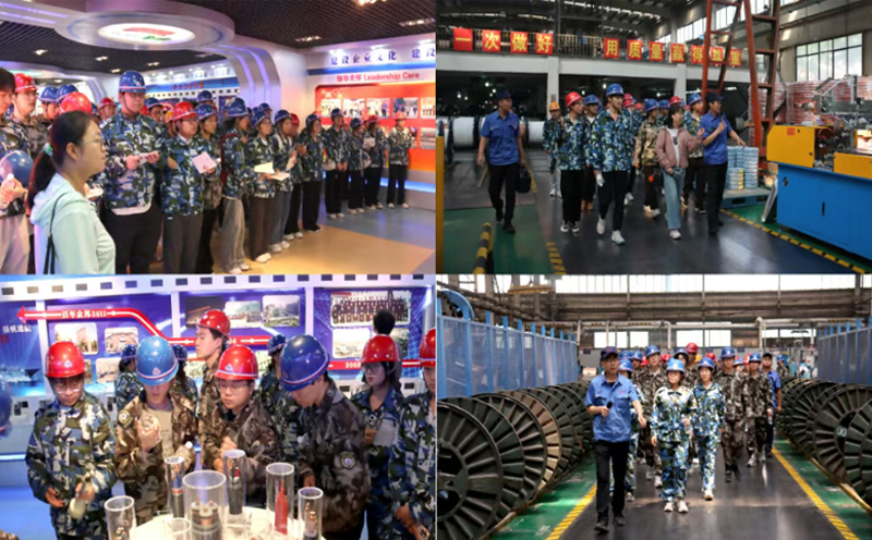 1751202008127289.jpg 05.jpg