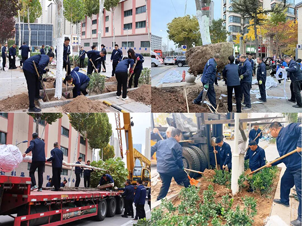 众邦管理团队开展立冬前树木移栽团建活动 众邦管理团队开展立冬前树木移栽团建活动