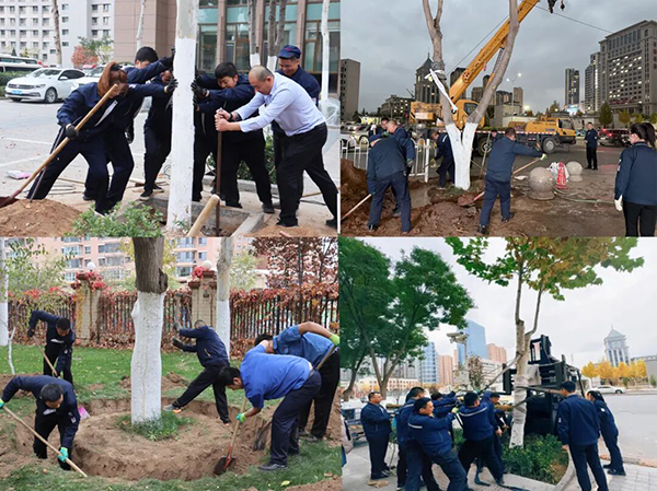 众邦管理团队开展立冬前树木移栽团建活动 众邦管理团队开展立冬前树木移栽团建活动